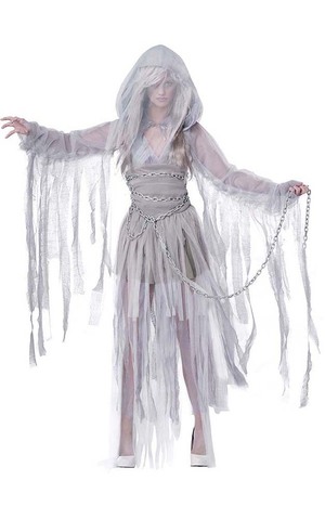 Haunting Beauty Adult Ghost Spirit Costume