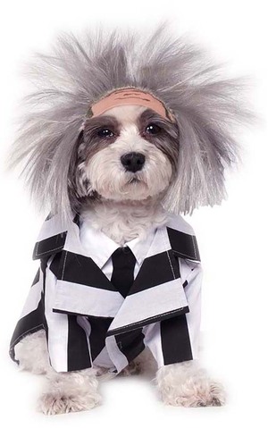 Beetlejuice Dog Pet Costume