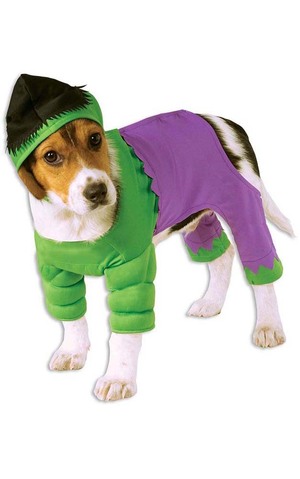 Marvel Incredible Hulk Pet Dog Avengers Costume